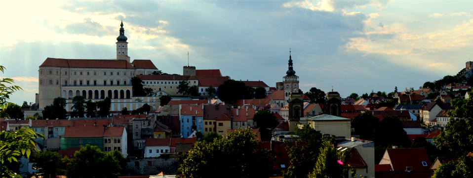 Moravia Wine tour