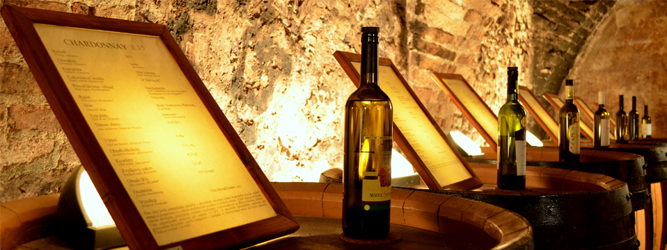 Small Carpathian Wine Tour