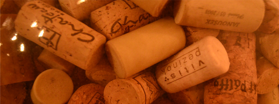 Small Carpathian Wine Tour